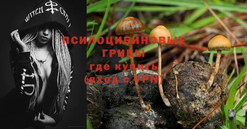 купить наркоту  МЕГА как войти  Галлюциногенные грибы MAGIC MUSHROOMS  Армавир 